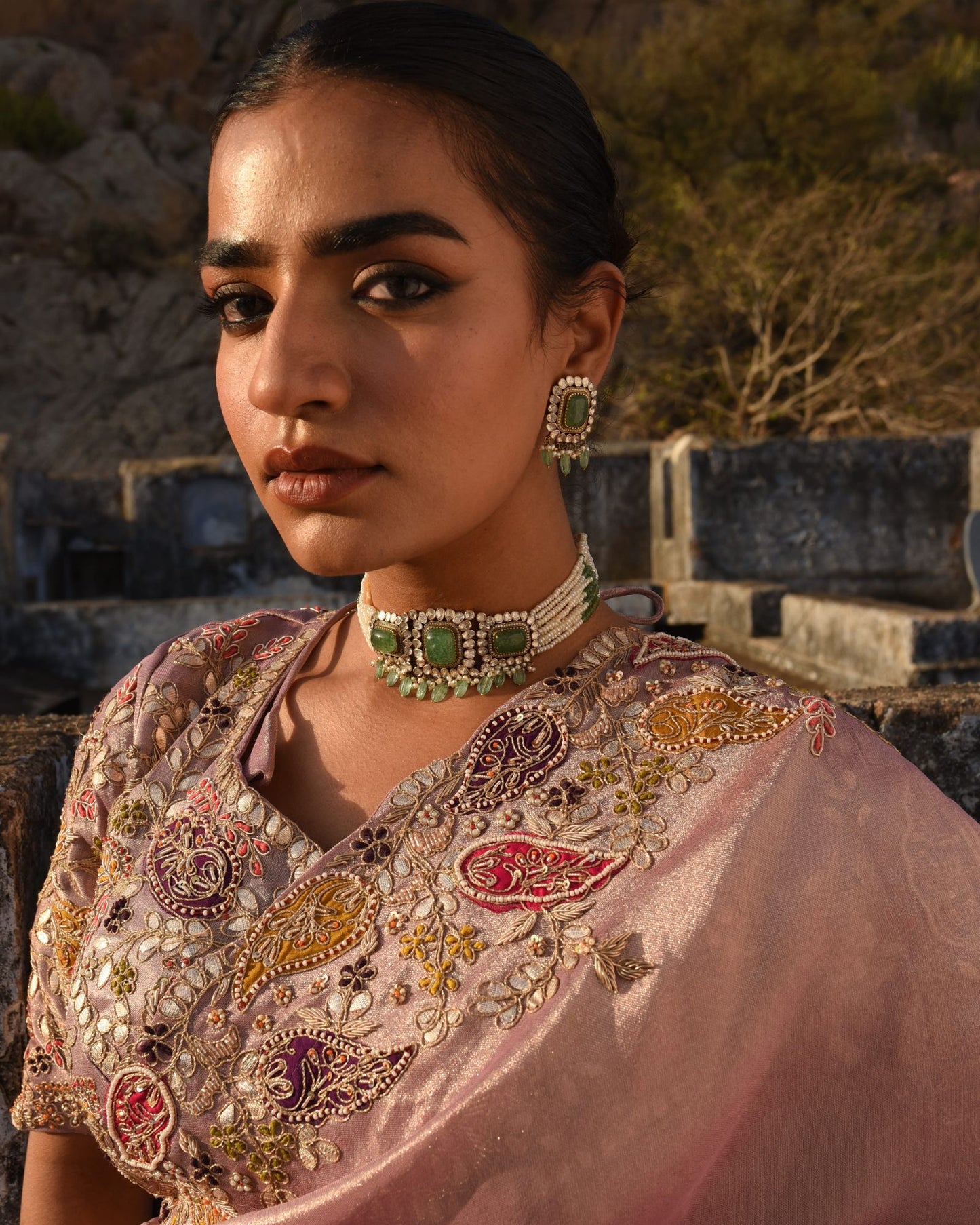 Tissue Saree With Hand Applique Detailing