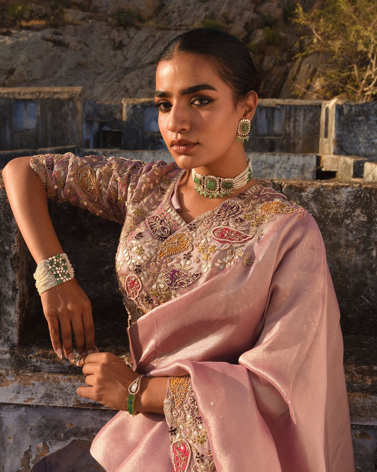 Tissue Saree With Hand Applique Detailing
