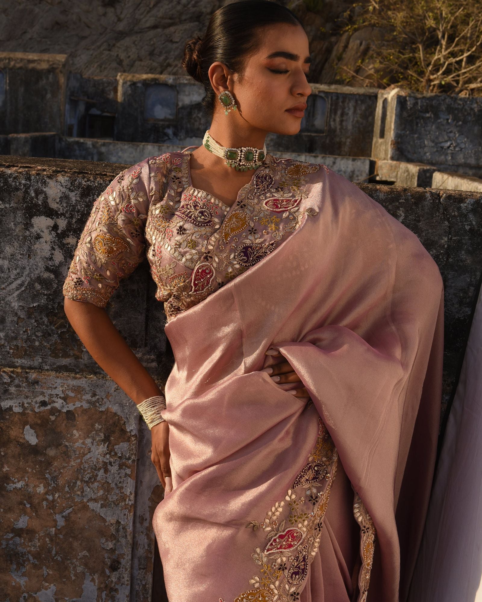 Tissue Saree With Hand Applique Detailing