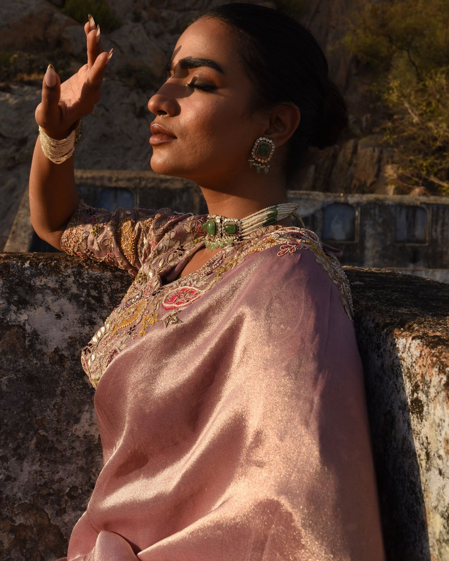 Tissue Saree With Hand Applique Detailing